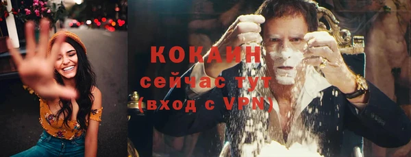 соль ск Белокуриха