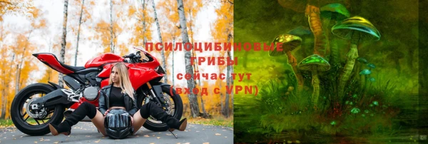 соль ск Белокуриха